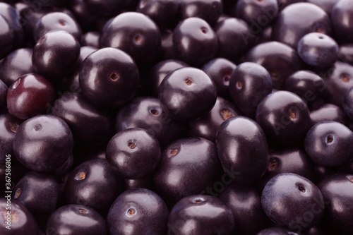 Fresh ripe acai berries as background  closeup
