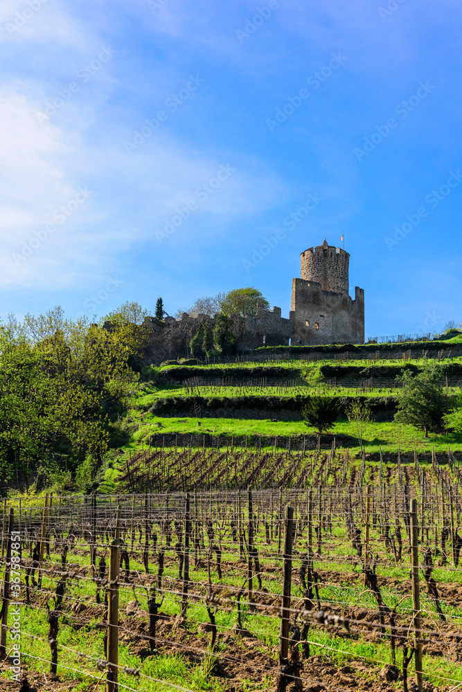 Vineyards of Alsace and view of The Kaysersberg Castle. The Kaysersberg Castleis a ruined castle in the commune of Kaysersberg in the Haut-Rhin département of France