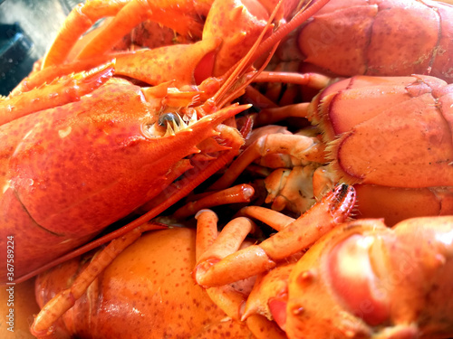Extreme close up of a pile of steamed Maine Lobsters, legs, tails, head all jumbled together ready for a picnic