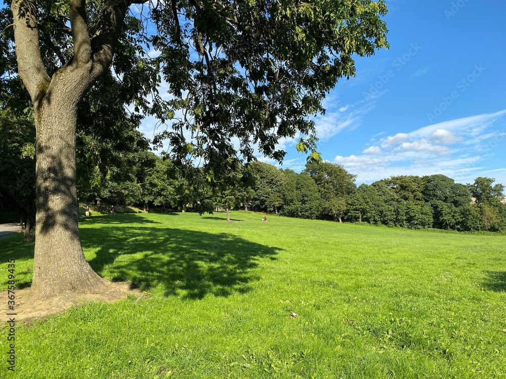 Landscape view, of an extensive meadow, with trees in the distance, in a public park, in the north of, Bradford, Yorkshire, UK Landscape view, of an extensive meadow, with trees in the distance, in a public park, in the north of, Bradford, Yorkshire, UK