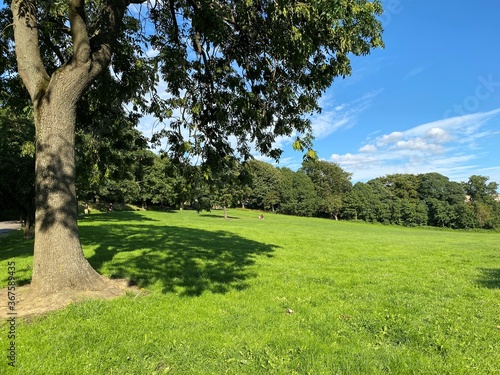 Landscape view, of an extensive meadow, with trees in the distance, in a public park, in the north of, Bradford, Yorkshire, UK