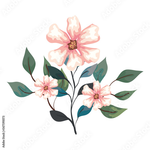 flowers with branches and leaves  on white background vector illustration design