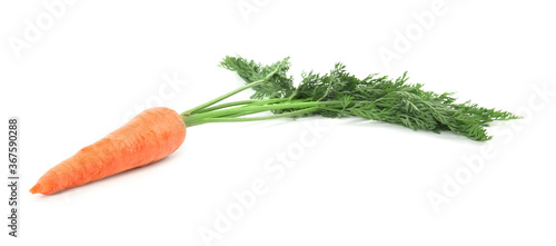 Fresh ripe juicy carrot isolated on white
