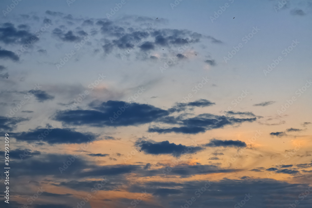 The sky at sunset. Cumulus clouds lit by the rays of the setting sun.