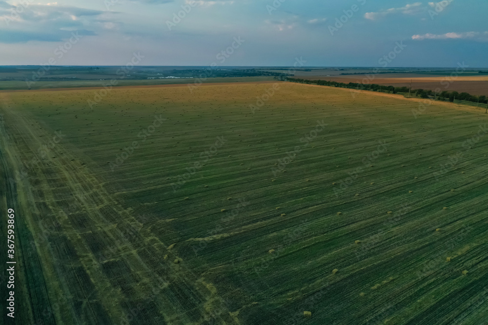 Aerial view of green mowed field outdoors. Agricultural industry