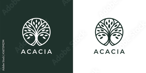 Circle tree logo icon template design. Abstract round garden plant natural line symbol. Green branch with leaves business sign. Vector illustration. photo