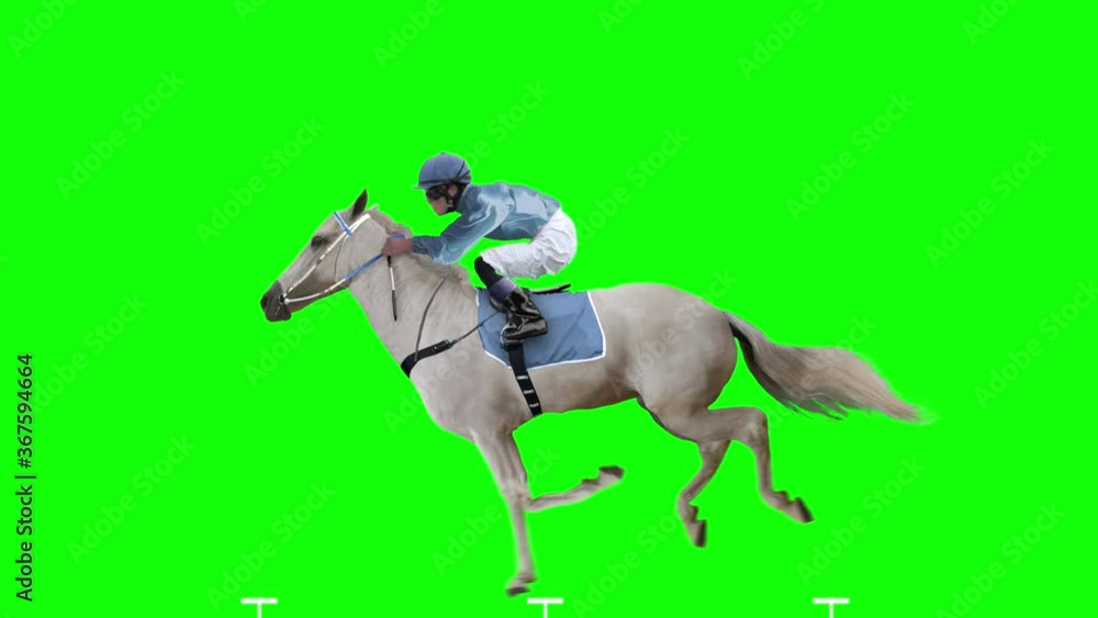 Jockey Riding A White Horse Jumping Isolated And Cyclic Can Be Used