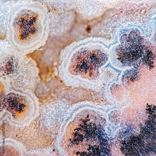 Obraz na płótnie Micro agate geode with dendrite crystals