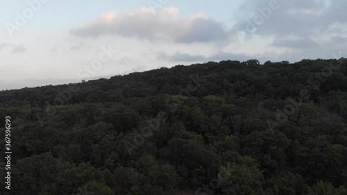Rocky coastline of the sea at the foot of a steep high cliff, which ends with a dense forest.