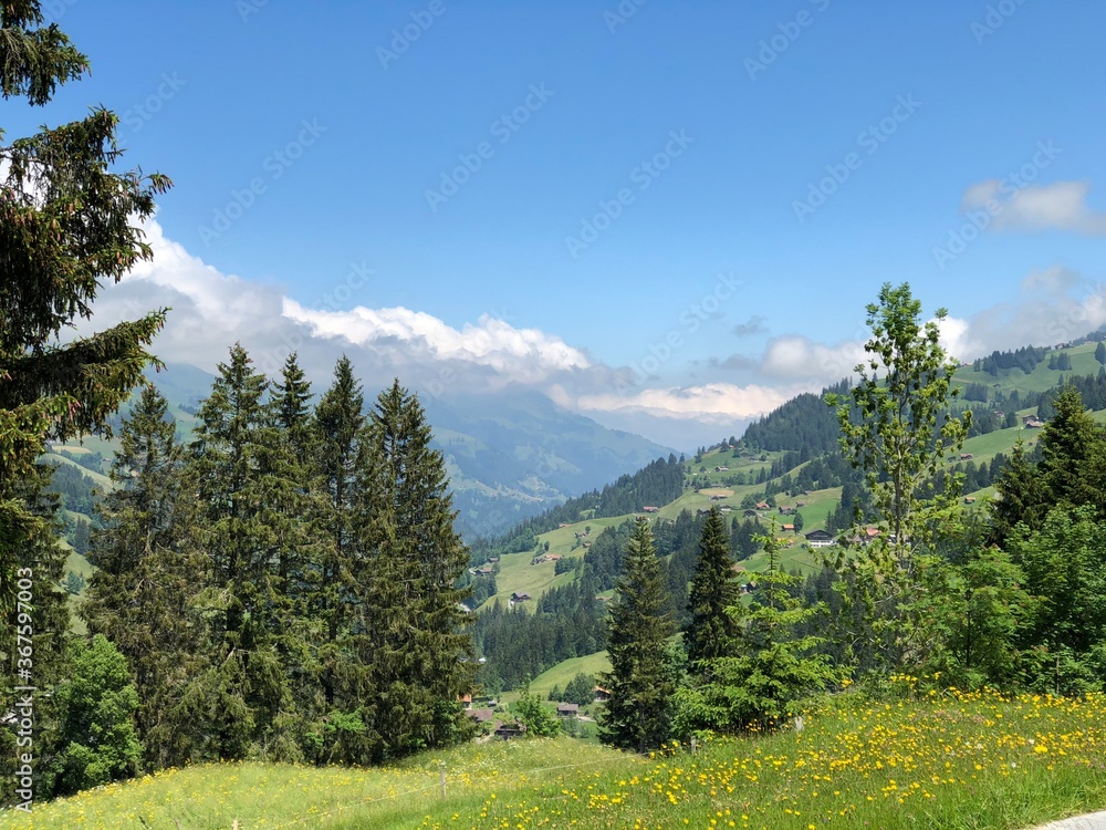 Obraz premium Swiss Apls