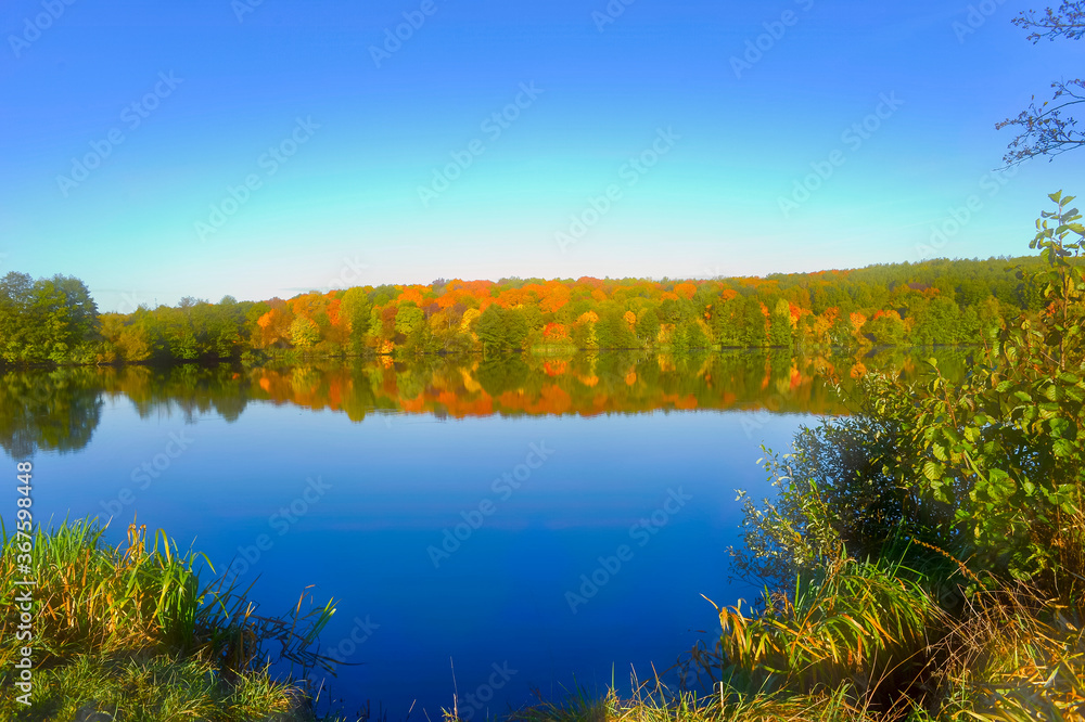 Autumn landscape of early autumn with blue lake water against the background of bright forest foliage and clear sky.