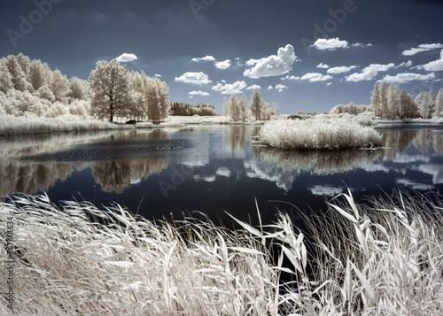 summer landscape, infrared photo snowy tree amazing nature lake reflection, unusual surreal view, infrared photography