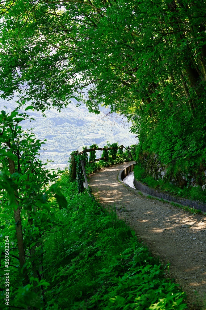 pathway along Waal and wine yard in Tyrol pathway along Waal and wine yard in Tyrol