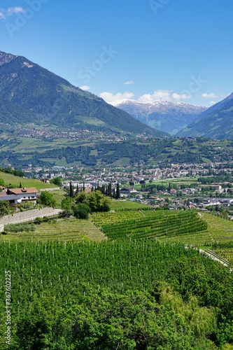 Merano and valley from above, mountains