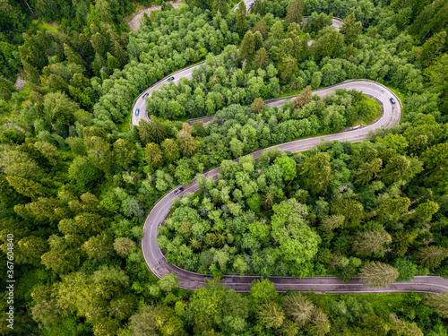 Long and winding rural road leading through dense green pine forest.