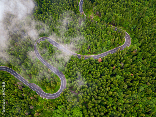 Long and winding rural road leading through dense green pine forest.