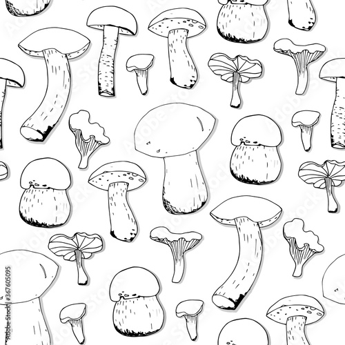 Mushrooms and spruce branches set, Hand drawing. elements for your design. Fresh and healthy food from the forest
