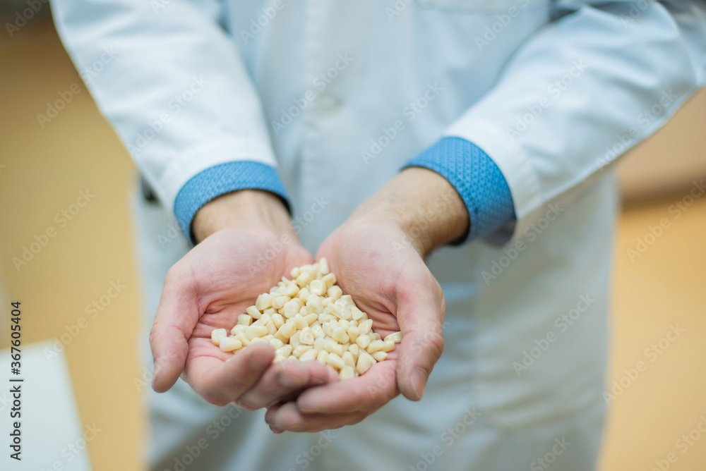 A dental technician is holding a bunch of dental implants. Close-up of male dentist hands with dentures. A dental technician is holding a bunch of dental implants. Close-up of male dentist hands with dentures.