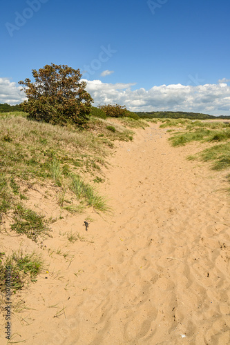 Footprints and tracks on a path through sand dunes.