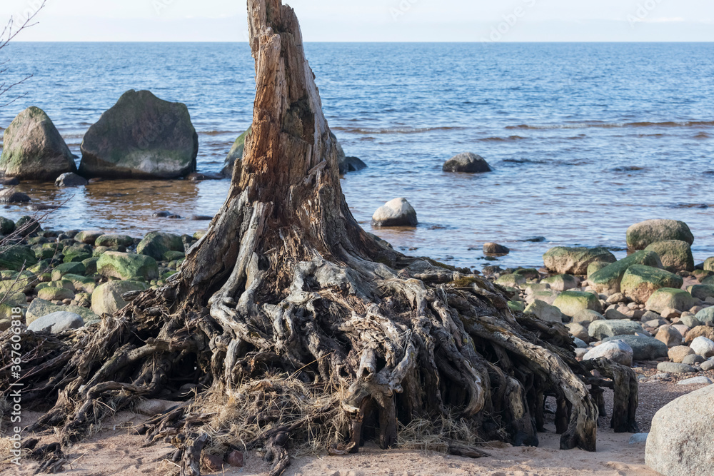 Beautiful, sea landscape in sunny, spring day. Latvia, Baltic Sea Beautiful, sea landscape in sunny, spring day. Latvia, Baltic Sea