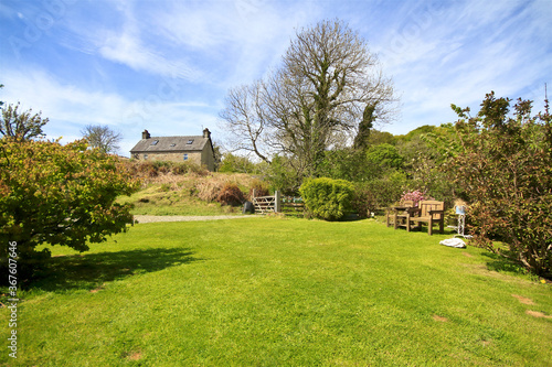 beautiful back garden