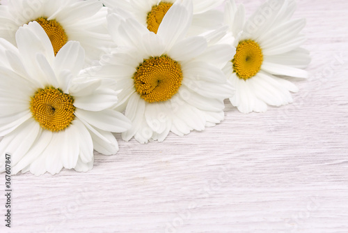 A delicate floral arrangement of white daisies on a hard surface for design  congratulations and decoration.