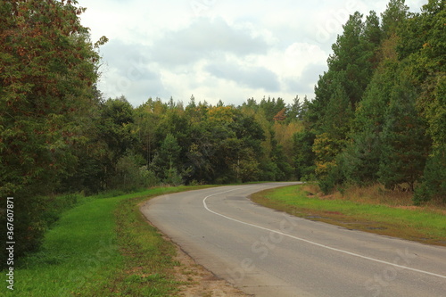 road in the summer forest