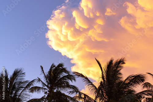 Cumulus clouds of during sunset on a background of palm trees.