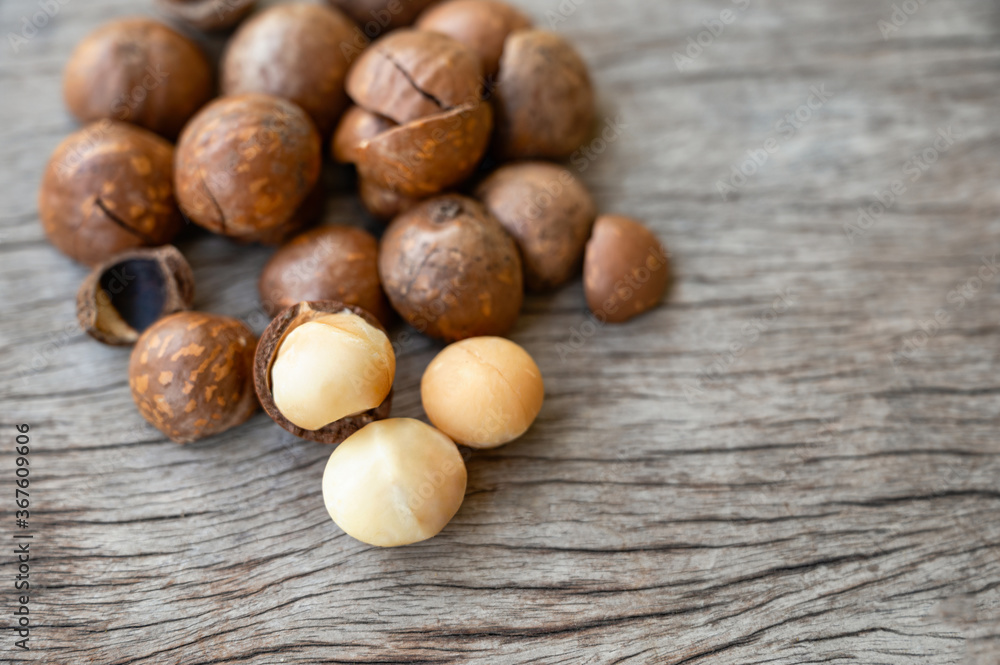 Organic Macadamia nuts with shell on wood table Organic Macadamia nuts with shell on wood table