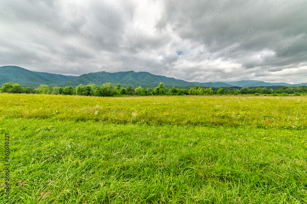 Smoky Mountains Field For Background