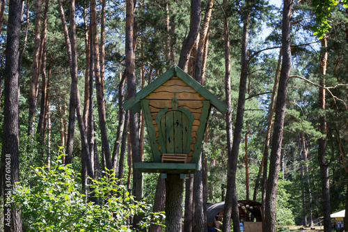 The house for squirrel in the forest. © Natali Vinokurova