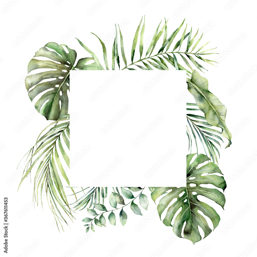Watercolor tropical border with monstera, coconut and eucalyptus leaves. Hand painted exotic palm leaves isolated on white background. Floral jungle illustration for design, print, fabric, background. - obrazy, fototapety, plakaty 