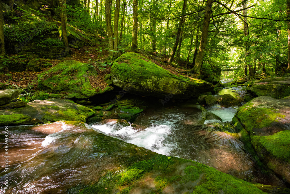 Beautiful rocky sundown forest river cascades summer day