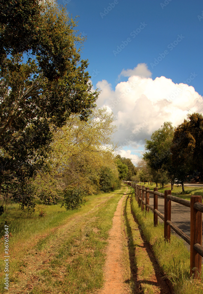 Trail along a fence with white fluffy cloud against blue sky