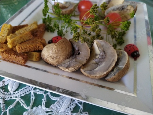 Fresh edible mushrooms red tomatoes sprigs of dill   rasks on the white plate photo