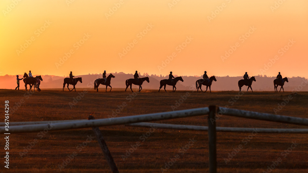 Race Horses Riders Group Dawn Training Sunrise Silhouette