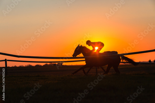 Race Horse Rider Training Galloping Sunrise Silhouette Panoramic Landscape photo