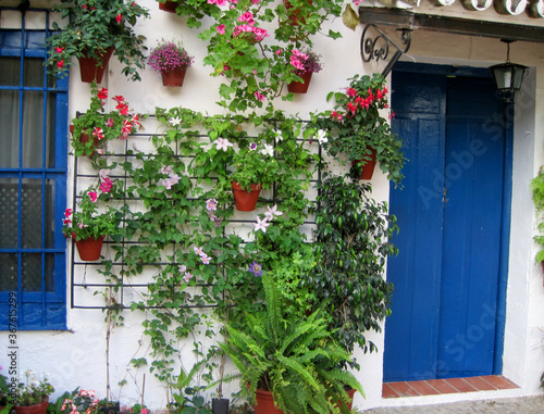 Blue door with flower pots on wall