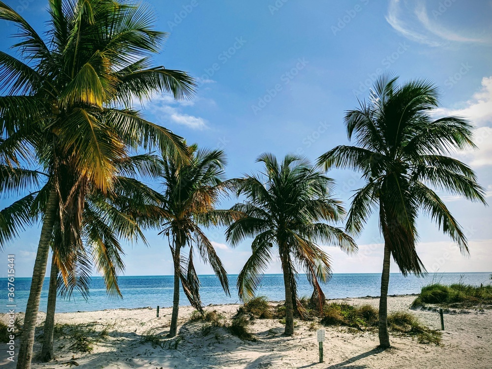 Key Biscayne Perfect Day at the Beach