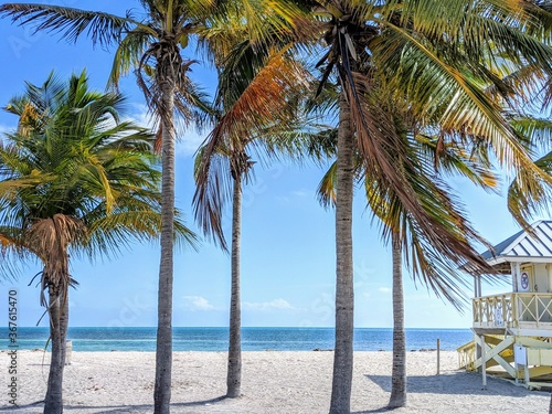 Key Biscayne Perfect Day at the Beach photo