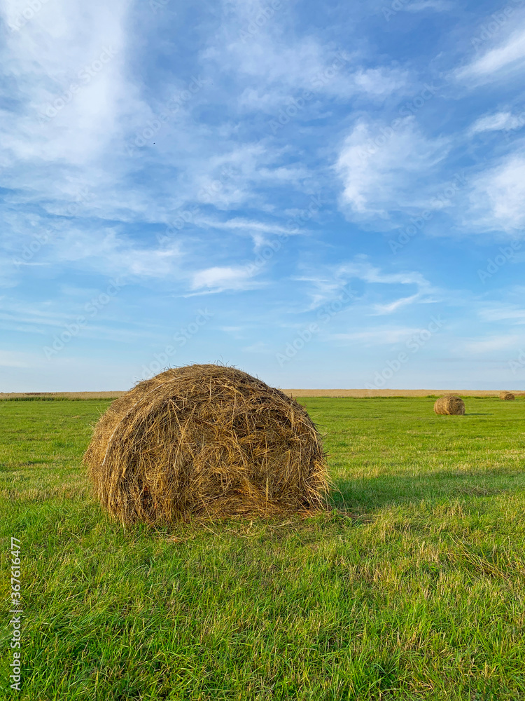 Haystacks on a green field against the blue sky. Large round rolls of brown wheat straw. Grain harvesting, agriculture. Haystacks on a green field against the blue sky. Large round rolls of brown wheat straw. Grain harvesting, agriculture.