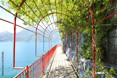 Fototapeta The scenic path Walk of Lovers in Varenna, Lake Como, Italy