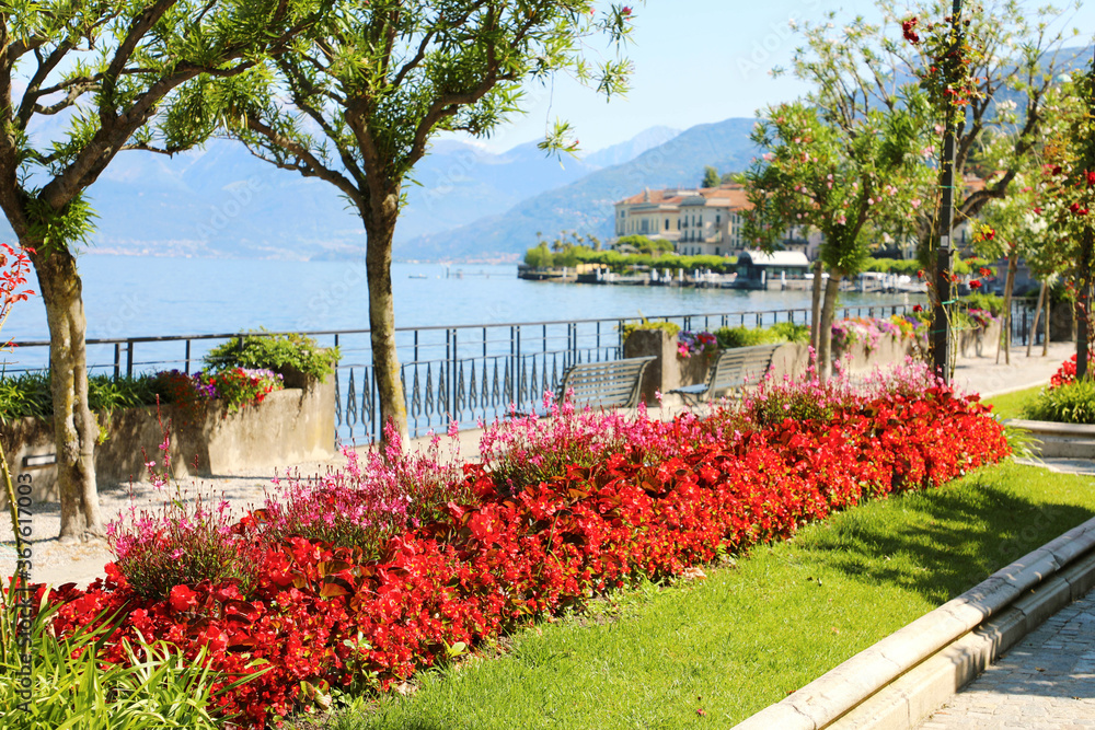 Colorful flowered avenue in Bellagio village, Italy