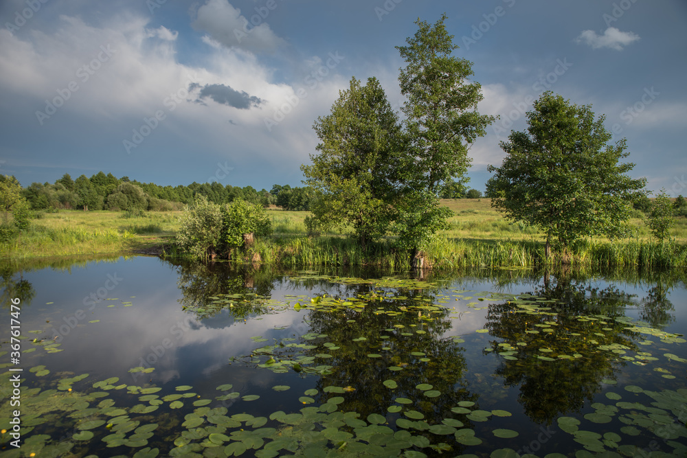 Obraz premium landscape meadows in warm evening light