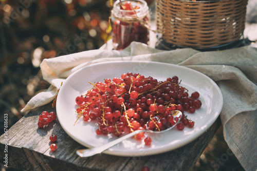 Red currants on a white plate on a wooden Board in the garden in the sun. Lunch in the nature. Concept of eating in nature.