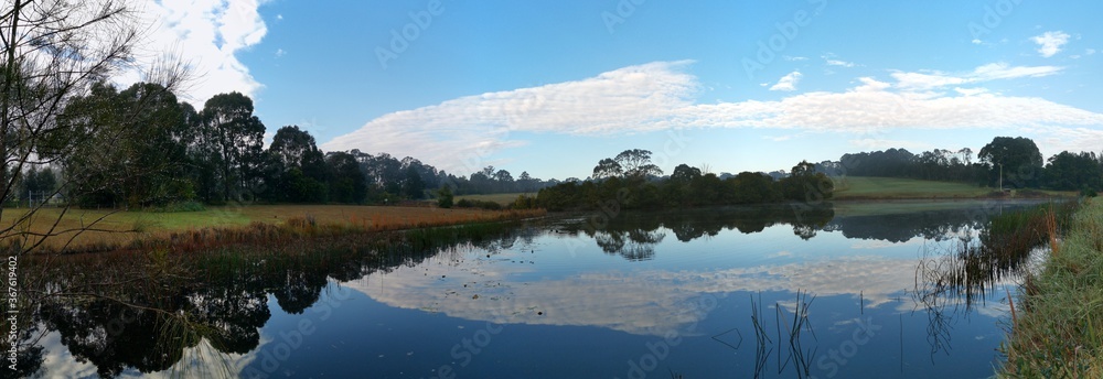 Beautiful morning panoramic view of a still pond in a park with stunning reflections of blue puffy sky and tall trees, Fagan park, Galston, Sydney, New South Wales, Australia