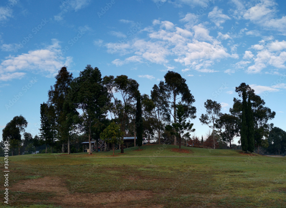 Morning view of a beautiful park with green grass, tall trees and blue puffy sky, Fagan park, Galston, Sydney, New South Wales, Australia