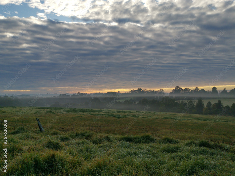 Morning view of a beautiful park with green grass, tall trees and blue puffy sky, Fagan park, Galston, Sydney, New South Wales, Australia
