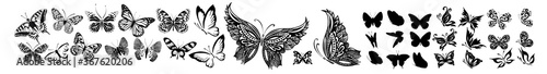 Set of monochrome graceful butterflies. Vector illustration