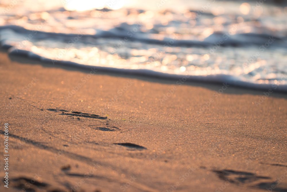 footprint on a wet sandy beach during sunset. footprint on a wet sandy beach during sunset.